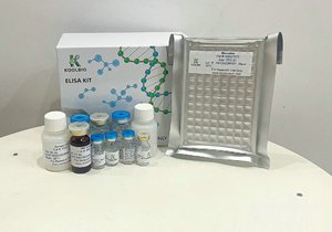 Con người pon2 <span class=keywords><strong>Elisa</strong></span> <span class=keywords><strong>kit</strong></span>-độ nhạy cao paraoxonase/arylesterase 2 phát hiện cho tim mạch nghiên cứu & nghiên cứu lâm sàng - Product Image 4
