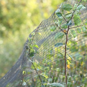 A basso prezzo di plastica UV Anti uccello netto di controllo degli uccelli rete di rete per uccelli per la protezione del giardino - Product Image 4