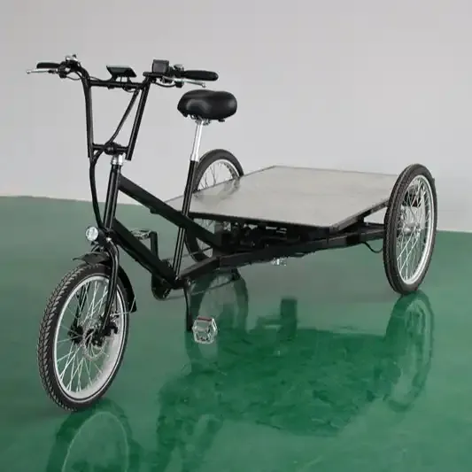 OEM 화물 전기 세발자전거를 위한 전기 평상형 트레일러 Trike 화물 납품을 위한 3 개의 바퀴 자전거 모터 전기 페달 Trike