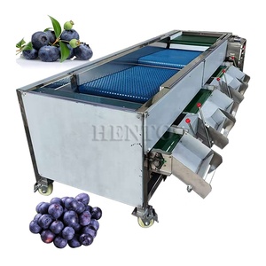 Máquina clasificadora de verduras de alta productividad para clasificación y clasificación de frutas de cacahuetes y arándanos - Product Image 3