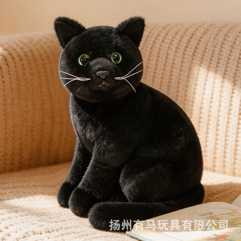 Negro-26cm 024kg