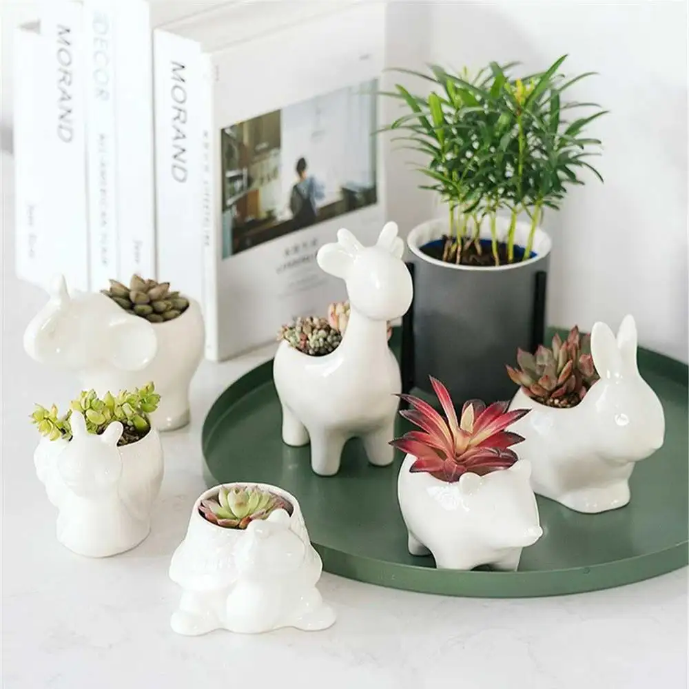 Cerámica pote de flor planta suculenta animales macetas maceta de la Oficina para el hogar jardín escritorio decoración Bonsai