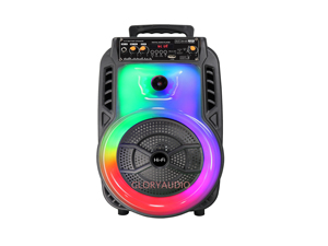 Hot Selling 8 Zoll tragbare LED-Licht Lautsprecher Hersteller Griff Wireless Powerful Stereo Super Bass Sprach steuerung Laden