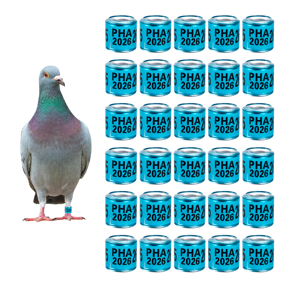 Bleu
