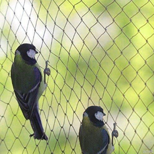 Hochwertiges Fisch kiemen netz HDPE Mesh Bird Net Anti Bird Net