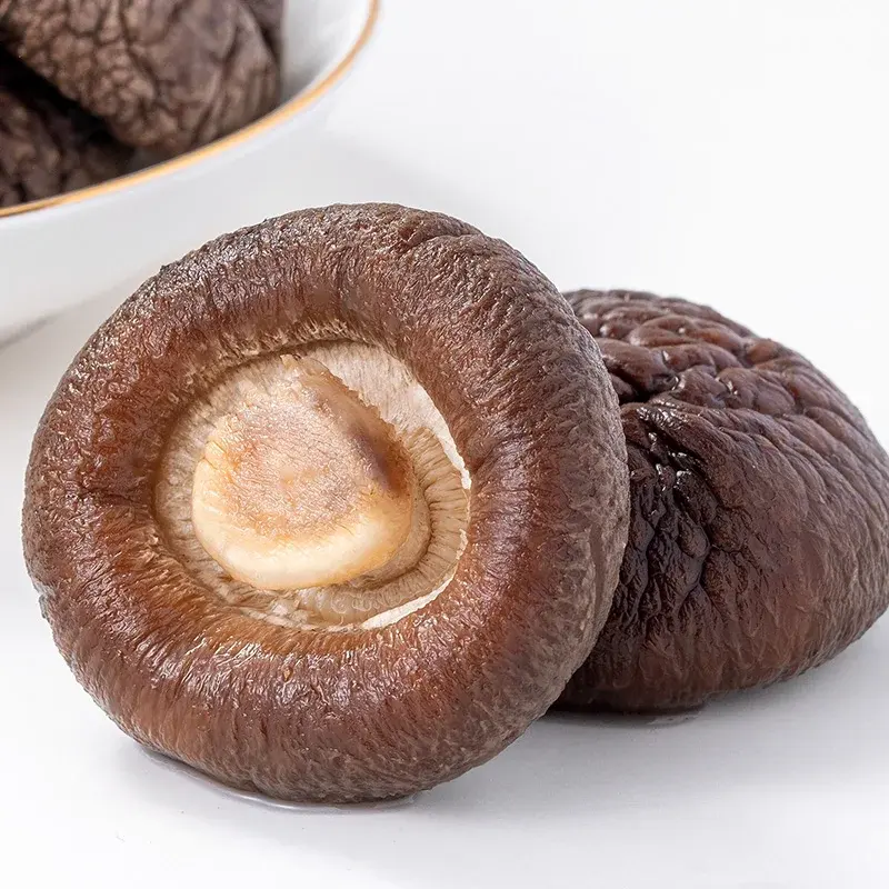Bio getrocknete Shiitake Pilz getrocknete Lebensmittel Hochwertige Shiitake Pilz Großhandels preis