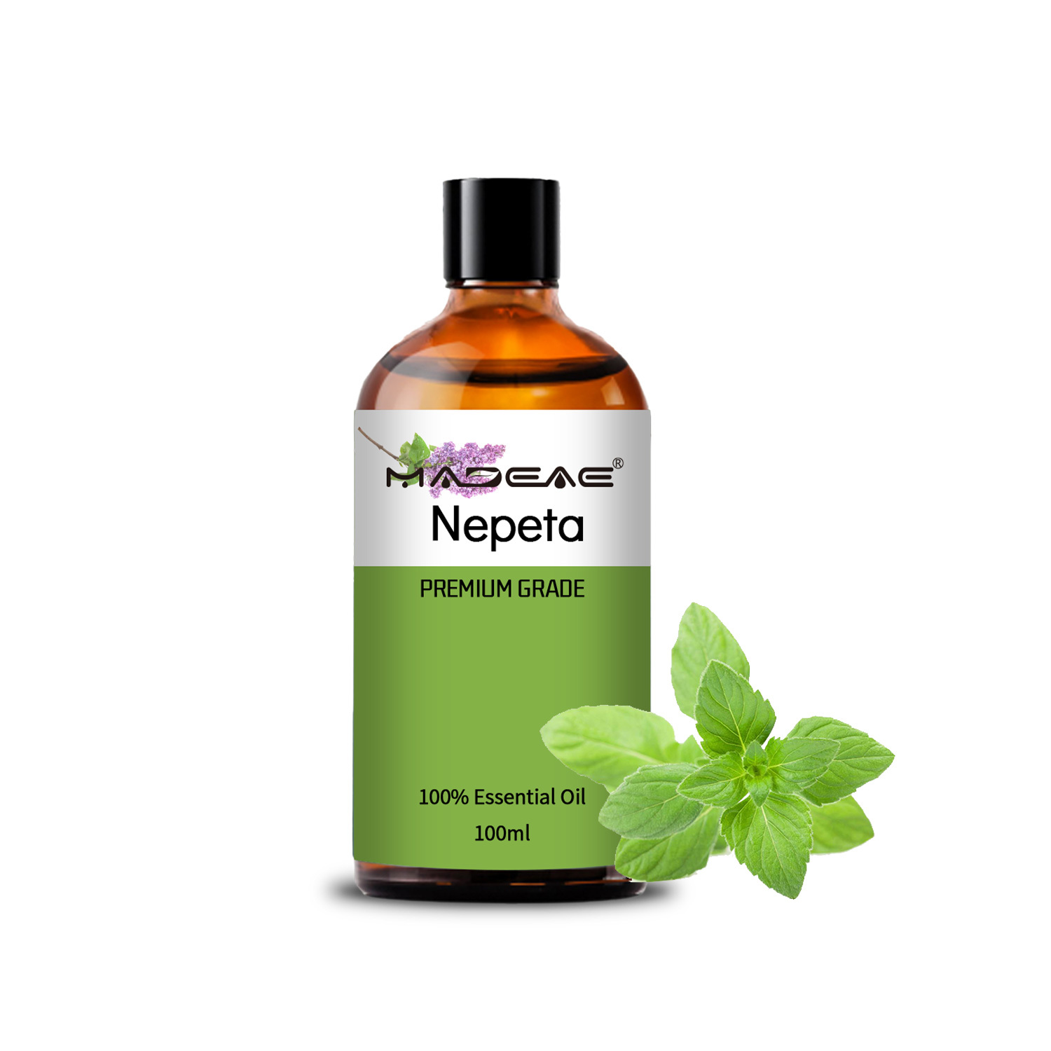 Huile de Nepeta