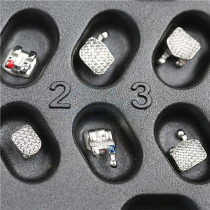 Guber nha khoa bán buôn tùy chỉnh nhãn kim loại niềng răng chỉnh nha Vật liệu mini khung kim loại với cơ sở lưới - Product Image 5