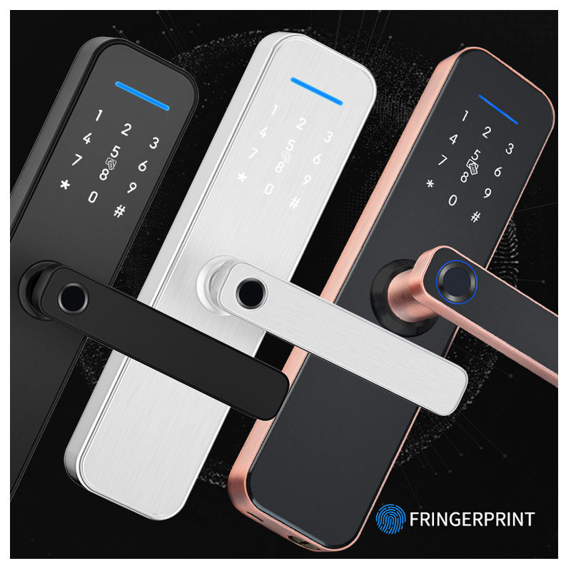 Noir/cuivre antique/blanc argenté