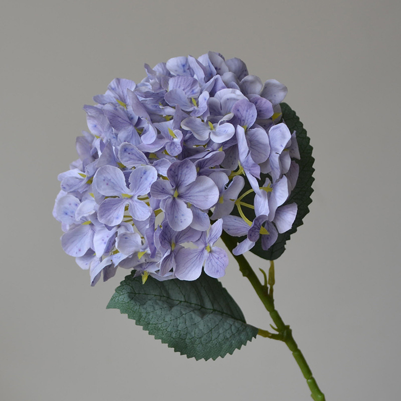 Purple2