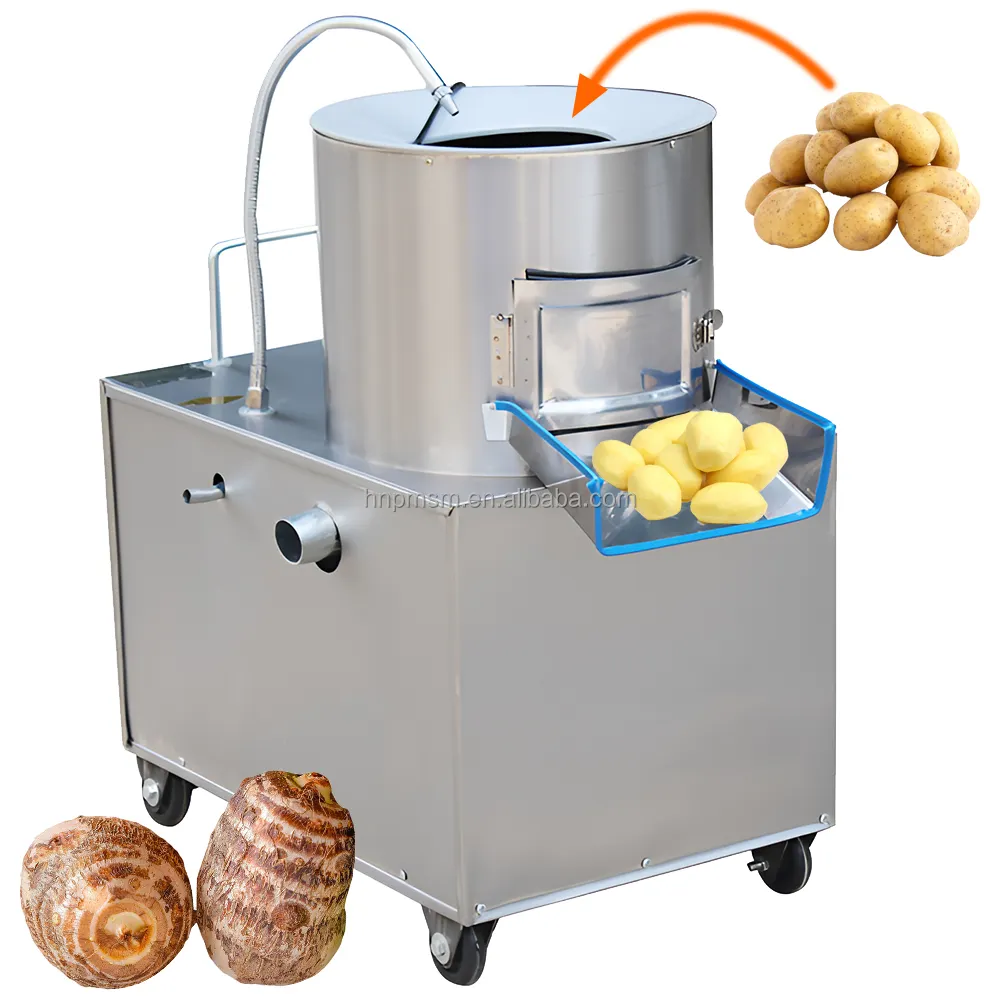 Petite échelle 300kgh automatique électrique radis manioc gingembre patate douce Machine à laver et à éplucher