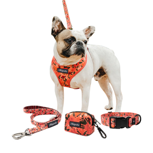 Set Tali Kekang dan Kekang Anjing Bulldog Perancis Jaring Pelangi Yang Dapat Disesuaikan Desain Mode Cetak - Product Image 4