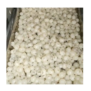 Otomatik paslanmaz çelik longan meyve tohum çekirdek soyma kabuk kaldırma makinesi longan soyma nükleer makine longan soyucu - Product Image 2