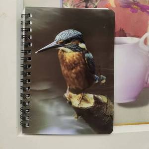 Hot Sales Custom A6 3d Lenticular Spiral <strong>Exercise</strong> Journal <strong>Notebook</strong> <strong>Writing</strong> Diary <strong>Notebook</strong> with 3d Cover for Students - Product Image 5