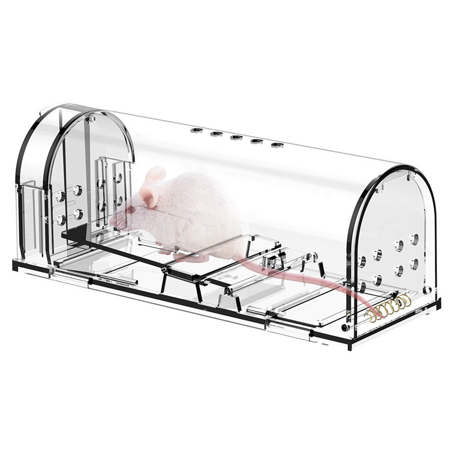AR04 transparent