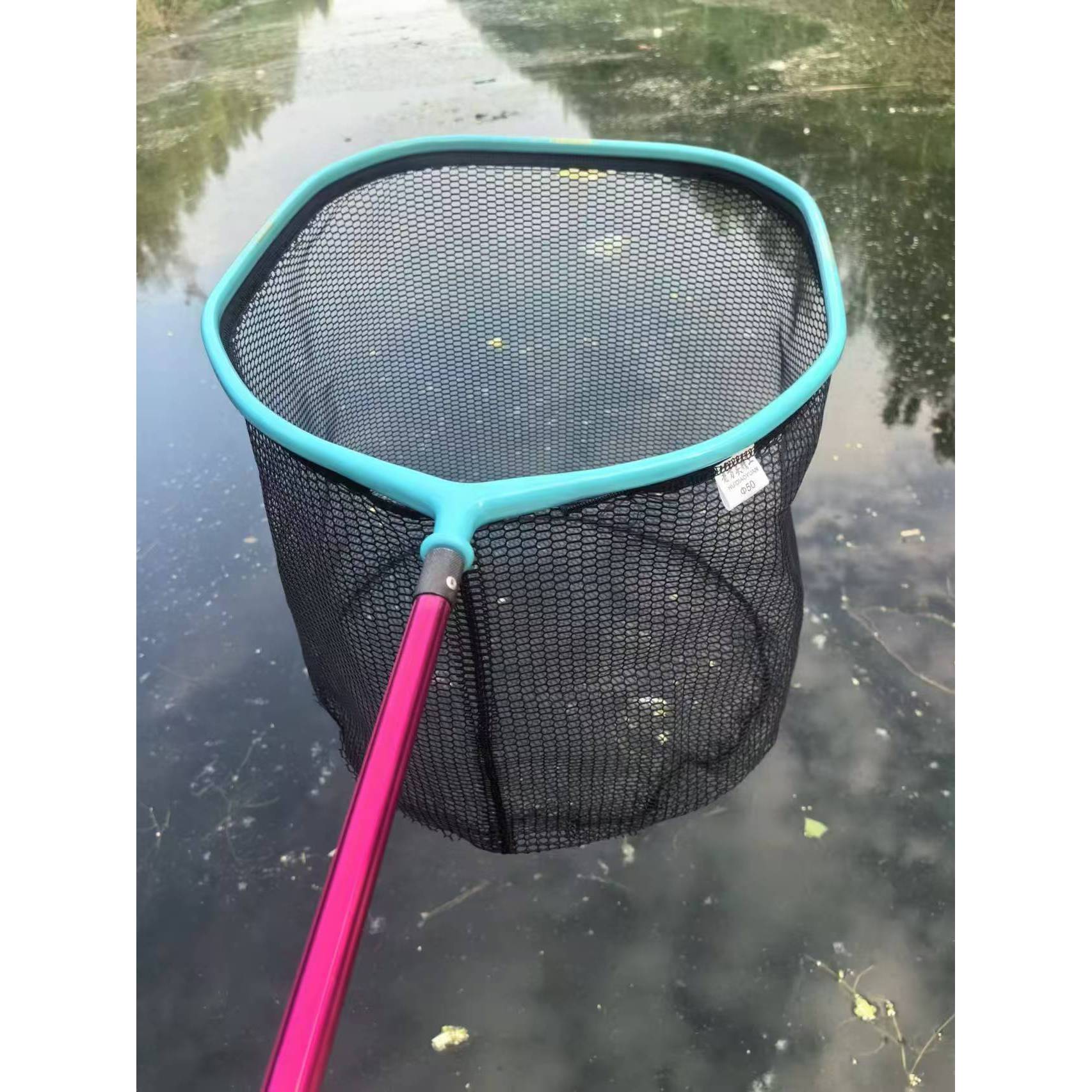 Integrated large mesh head (blue)