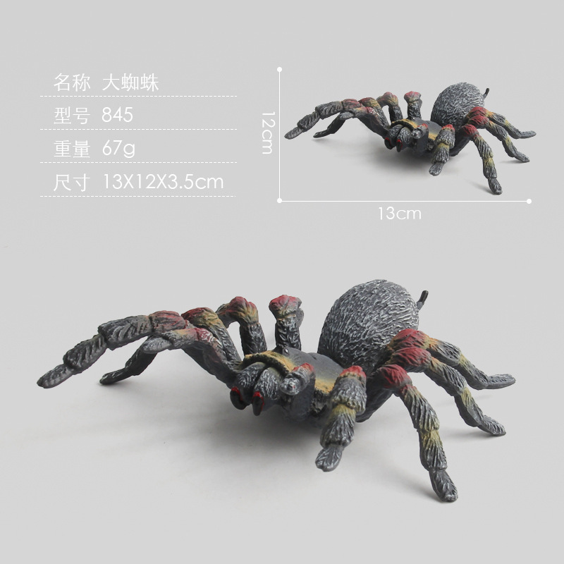 colorful PL127-845 Large Spider 67g