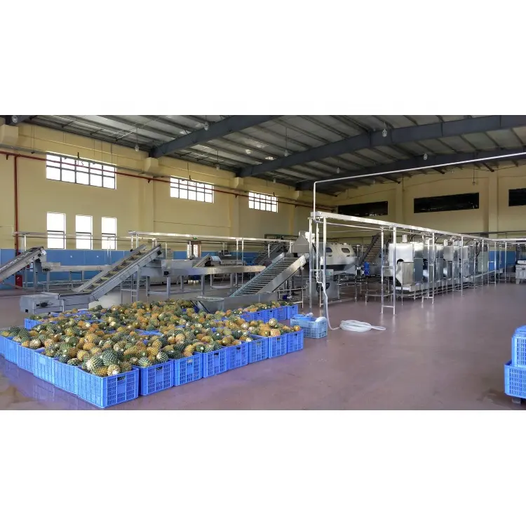 Machine de fabrication industrielle de jus d'ananas, concentré de boulettes, fabrication de plantes, conception d'équipe professionnelle, g