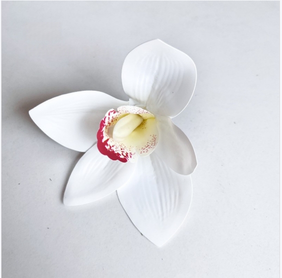 Blanc pur