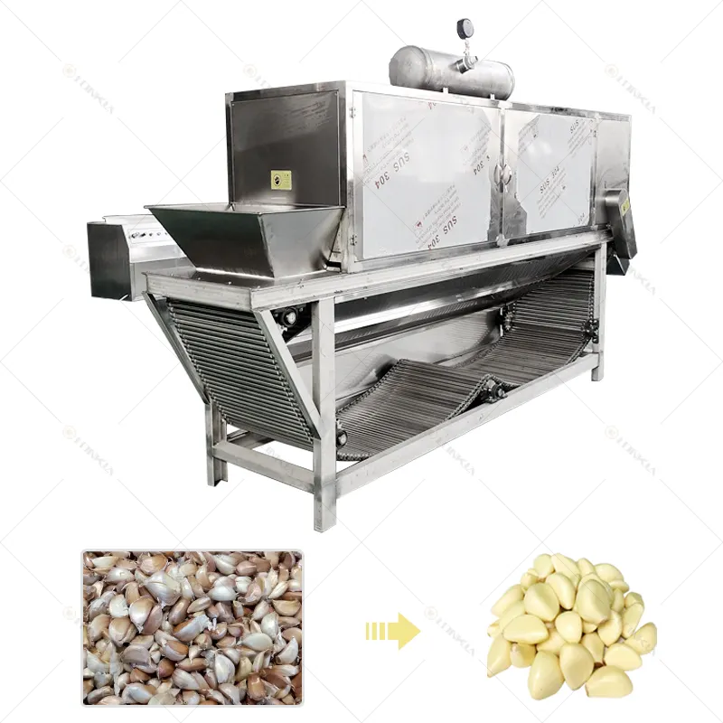 산업 자동 풀 세트 마늘 생산 라인 포함 마늘 청소 속보 필링 분류 가공 기계