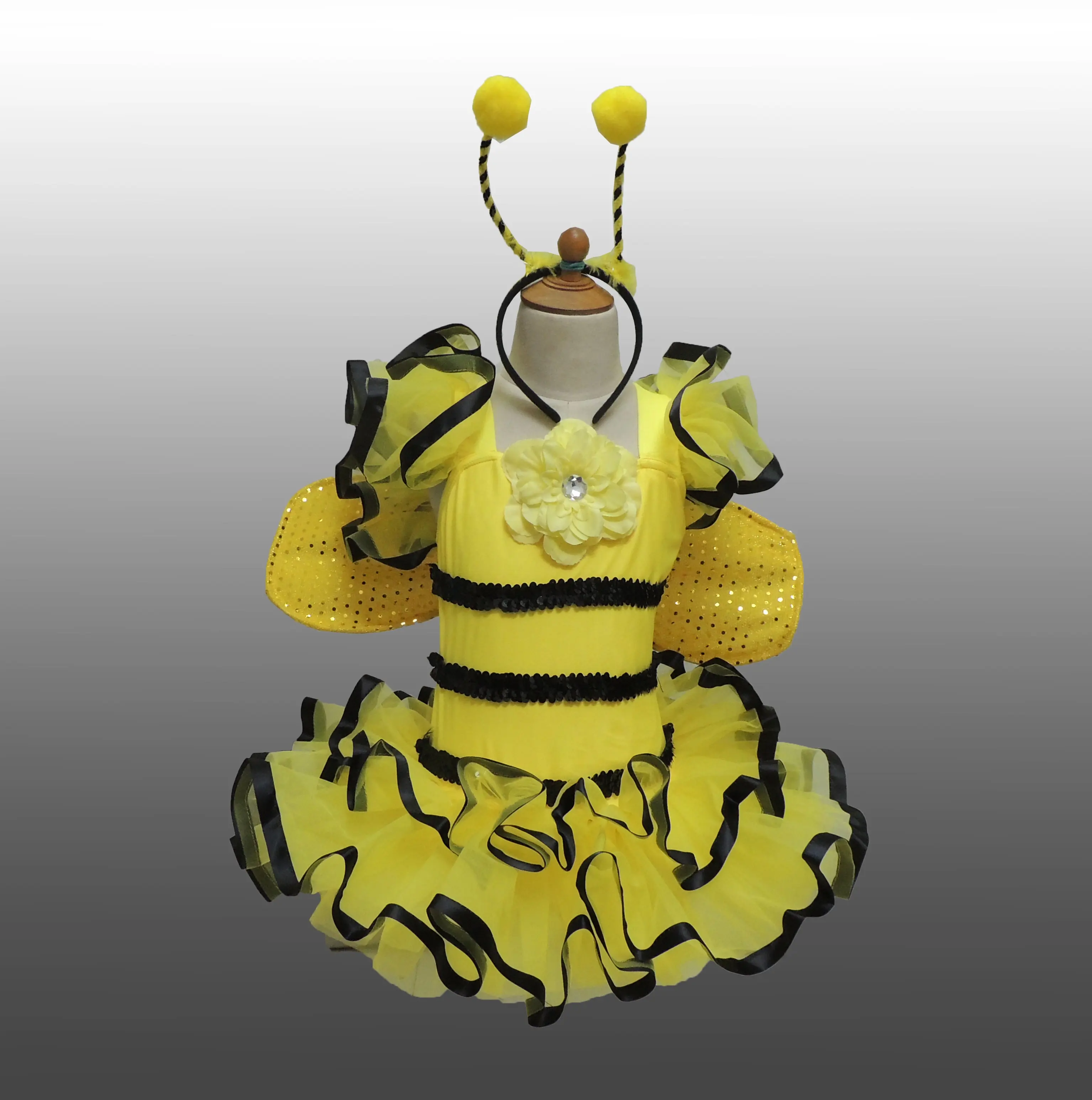 Animal disfraces para niño danza abeja