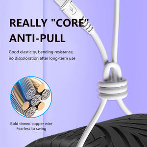 Yüksek kalite OEM ODM yüksek hızlı 2.0 bir USB C veri kablosu naylon tip c kablo hızlı şarj usb c kablo telefon için - Product Image 6