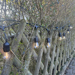 5M 10M 15M IP65 Commercial Grade LED <strong>String</strong> <strong>Lights</strong> S14 LED Edison Filament Bulb EU Connectable Wedding Holiday Lighting Garland - Product Image 3