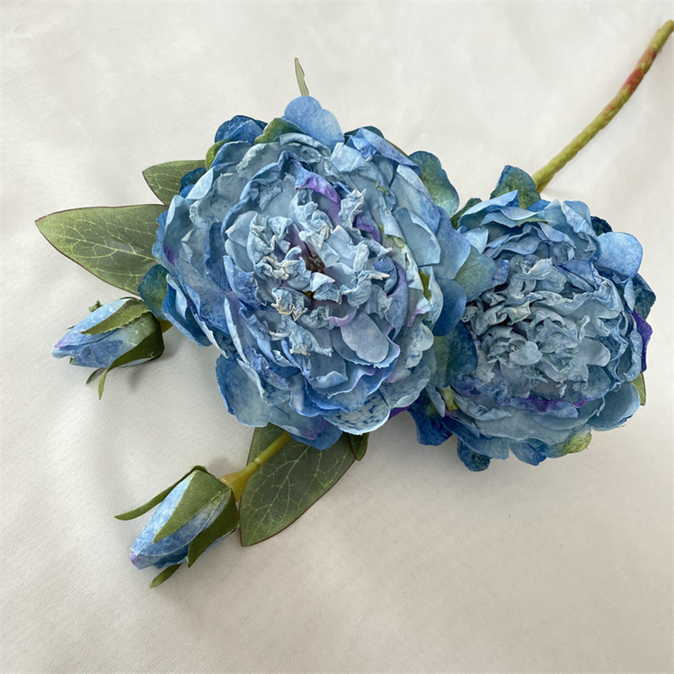 Bleu
