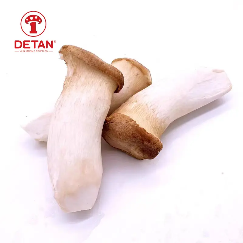 Detan Fábrica Chinesa Engarrafado Cultivado Exótico Fresco Pleurotus Eryngii Cogumelo Atacado Cogumelo