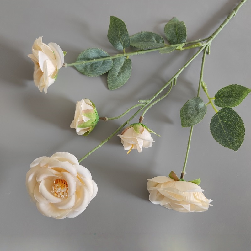 5 roses fraîches