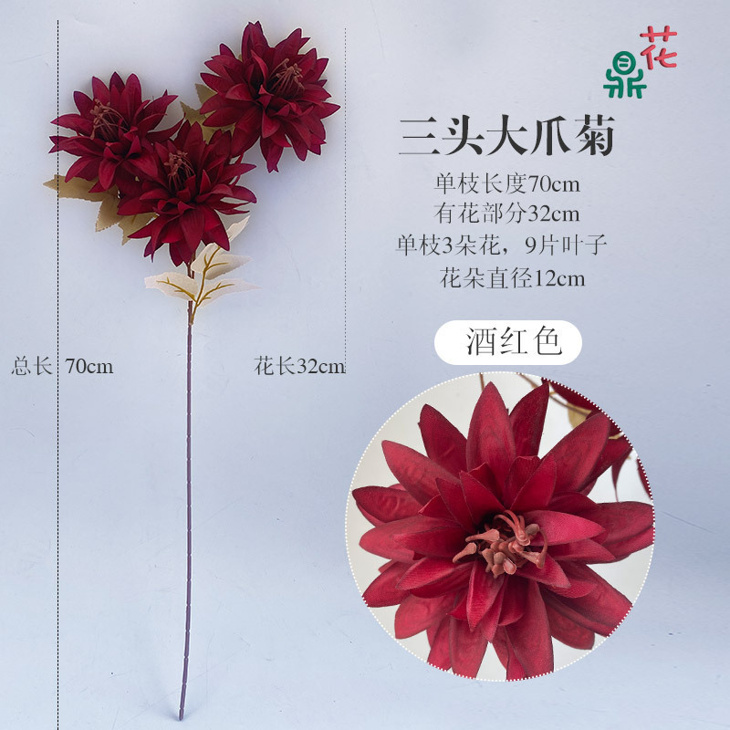Chrysanthème à trois têtes YYS Vin Rouge