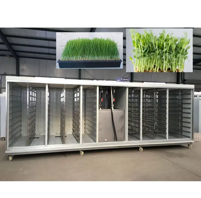 Automático hidropónico máquina forrajera para productos lácteos ganado/brote de Cebada/máquina alfalfa bud caja de planta de semillero