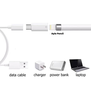 8针至通用串行总线C连接器C型母至iOS公适配器充电苹果铅笔第一代 - Product Image 4