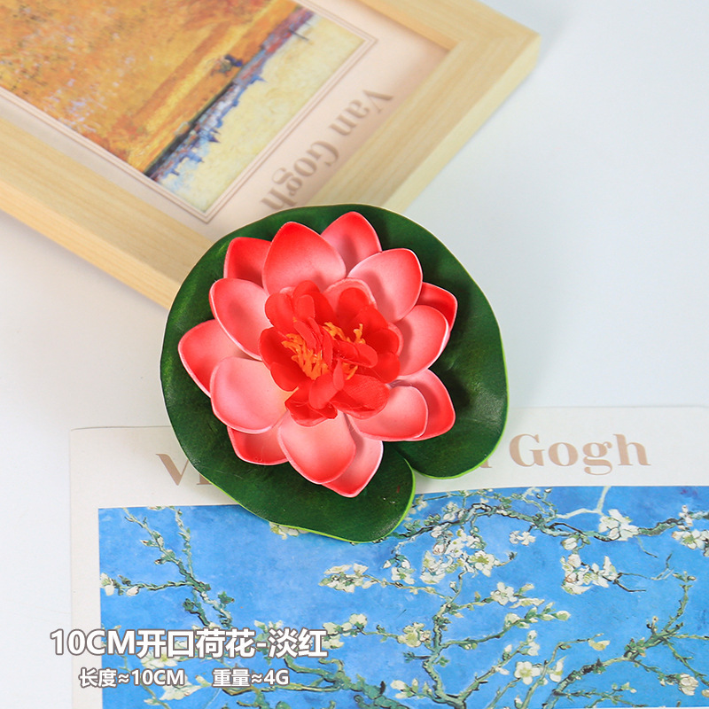 Lotus-10CM ouvert rouge clair