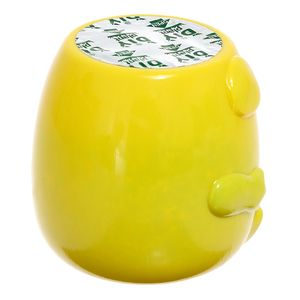 Büyüyen çim için eko-deneylerin çocuklar için ilk eko-deneyim kiti en çok satan fiyat sarı yavru - Product Image 4