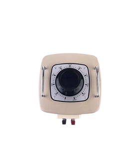 Single Phase AC <strong>1000VA</strong> Adjustable Power Analog Meter Display Contact Automatic Voltage Regulators - Product Image 4