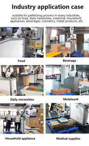 SJW Industrial Robot China Robot para carga pesada Elevación Apilamiento Paletización Descarga Embalaje Precio de fábrica - Product Image 4