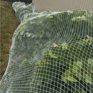 HDPE Monofilamento Antienvejecimiento Huerto Anti-Granizo Red Vegetal Jardín Granizo Cultivo Fruta Árbol Proteger Malla Sombra Red - Product Image 2