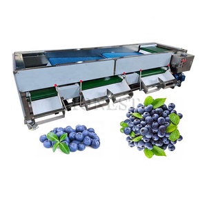 High <strong>Automation</strong> Strawberry <strong>Sorting</strong> <strong>Machine</strong> / Peanut <strong>Sorting</strong> <strong>Machine</strong> / Blueberries <strong>Sorting</strong> and Grading <strong>Machine</strong> - Product Image 2