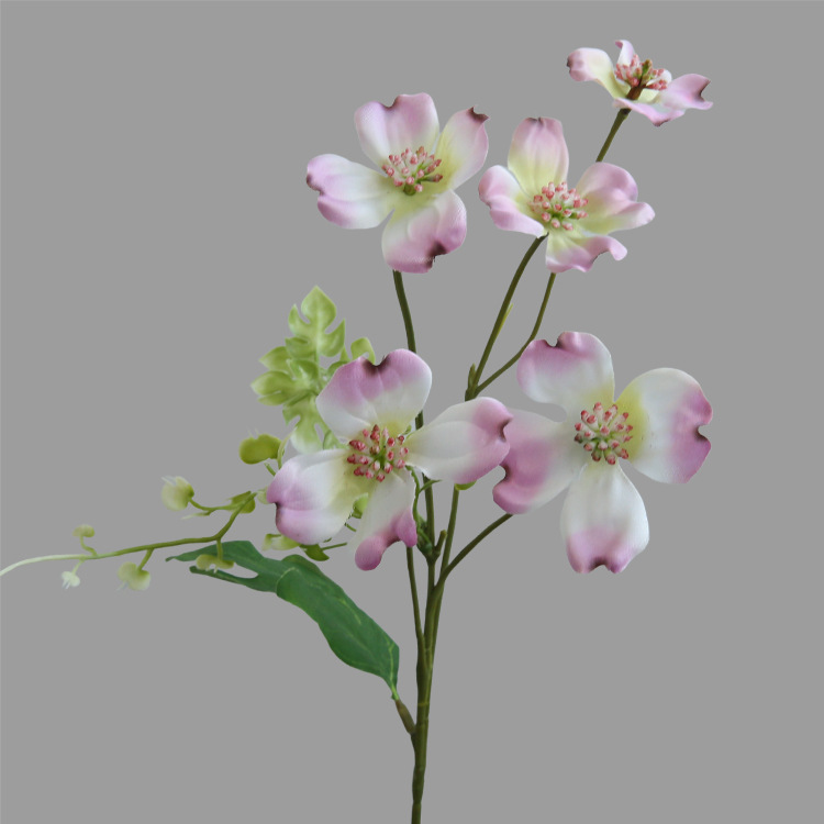 Pourpre