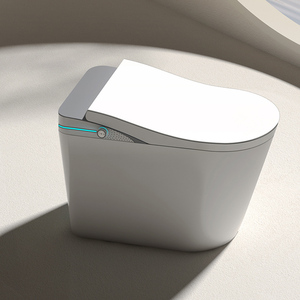 <strong>Bidet</strong> De Toilette Electric Cleaning Function <strong>Wc</strong> Smart Toilet With <strong>Bidet</strong> and Toilet <strong>Wc</strong> Smart Seat Sprayer for Bath - Product Image 2