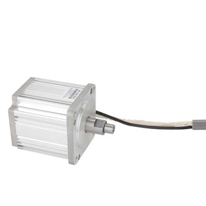High Speed 20000 <strong>Rpm</strong> Brushless DC <strong>Motor</strong> for Waste Processor