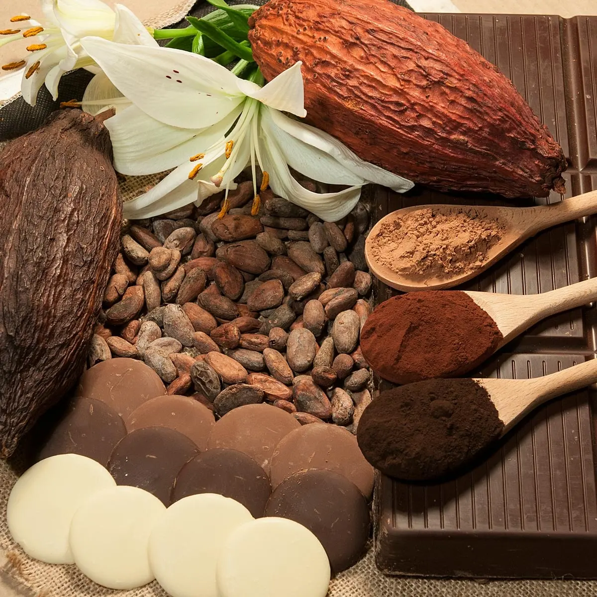 Cacao orgánico peruano de alta calidad en polvo Theobromina Cacao polvo crudo para la industria alimentaria
