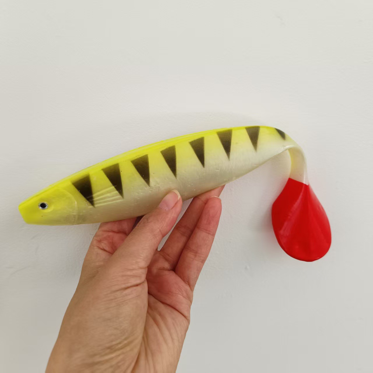 Tigerstriped red tail