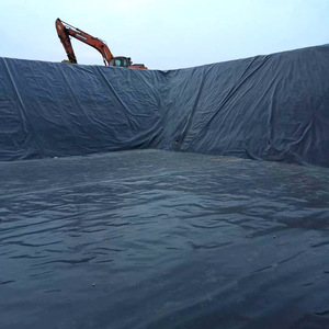 Endüstriyel kullanım için açık madencilik ve depolama dayanıklı LLDPE ve LDPE malzeme için 2.0mm HDPE geomembranlar - Product Image 5