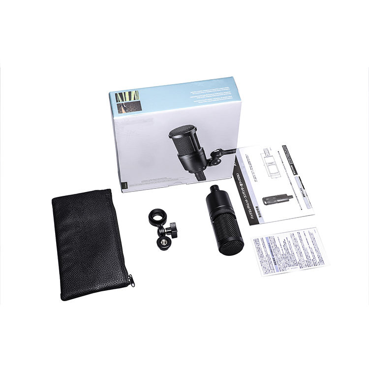 AT2020 Enregistrement sonore Micro filaire