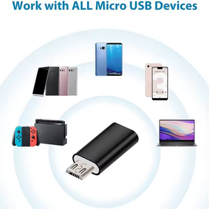 OEM USB2.0マイクロBオス-タイプCメスミニアダプターホットセール充電およびラップトップDCおよびAC出力用のOTGのデータ転送 - Product Image 5