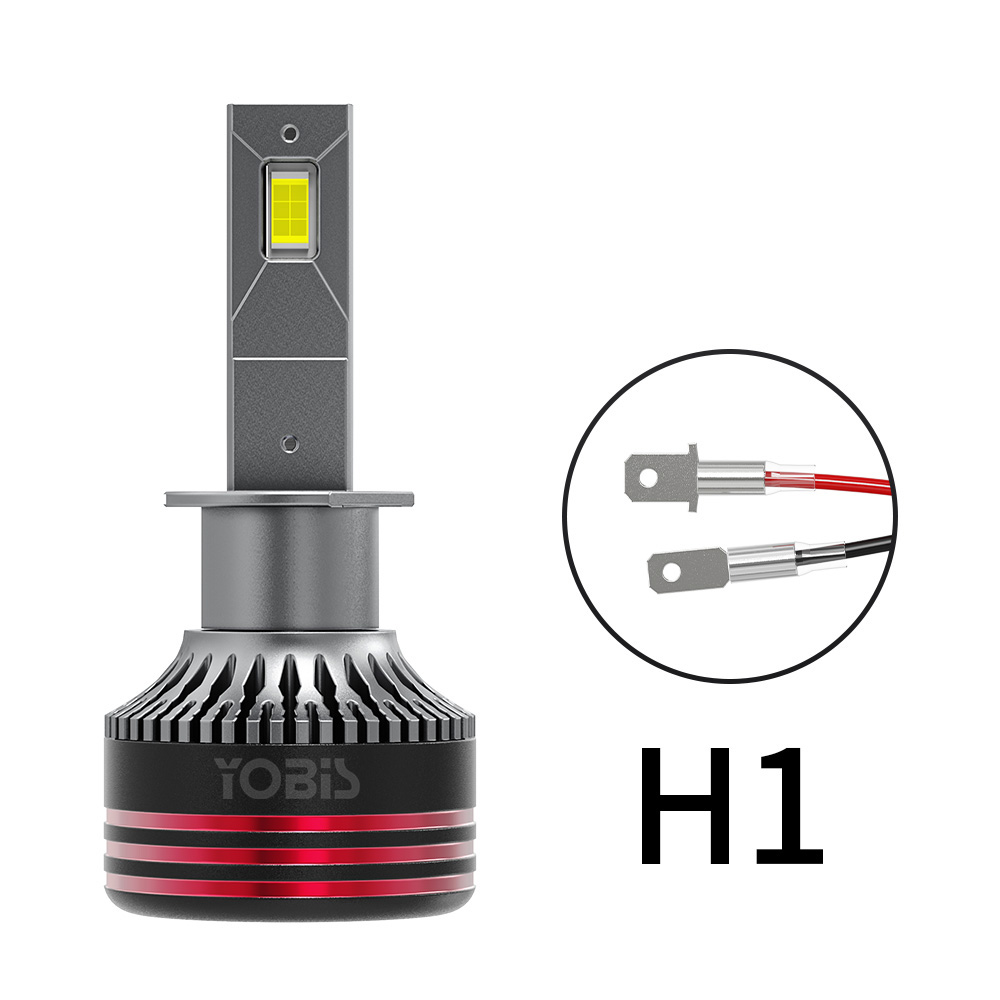 H1