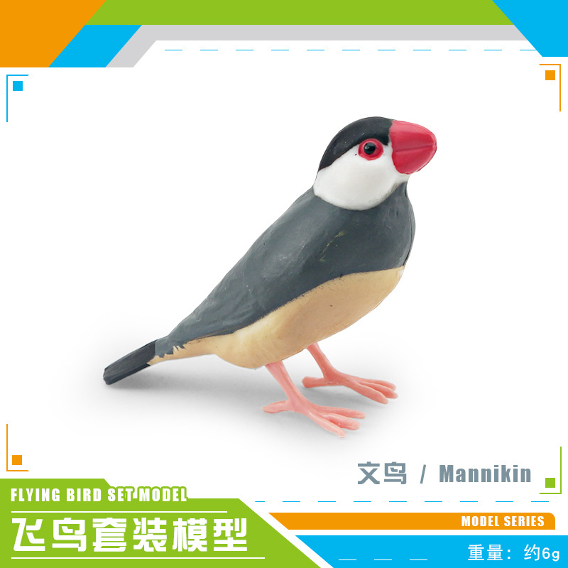 PL127-2944 Wenbird 6g