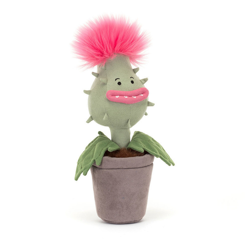 Plante carnivore Priscilla 30 cm-sans étiquette